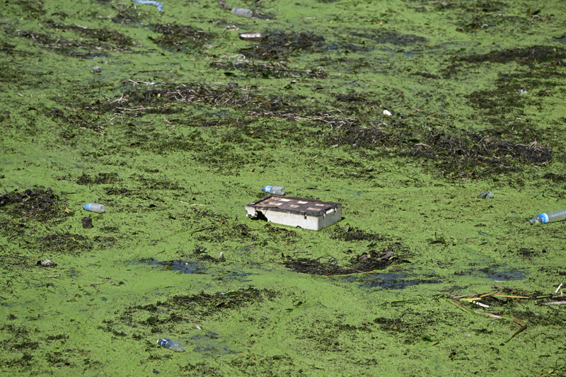 <p>Korkan, temizlik çalışmalarını başlatan yetkililere teşekkür etti.</p>