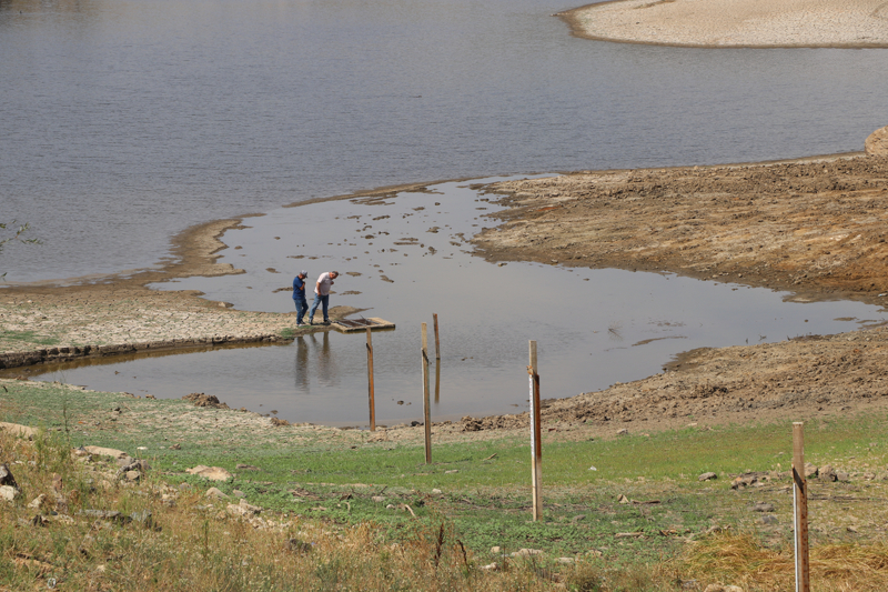 <p><b>- 'Mahsulümüz kurudu'</b></p><p>Uzun, kuraklıktan etkilenen üreticilerin desteklenmesini ve mısır fiyatlarının artırılmasını talep ettiklerini sözlerine ekledi.</p><p>Üretici Tuncay Özcan ise gölette bu derece bir kuraklığın bugüne kadar hiç yaşanmadığını dile getirdi.</p>