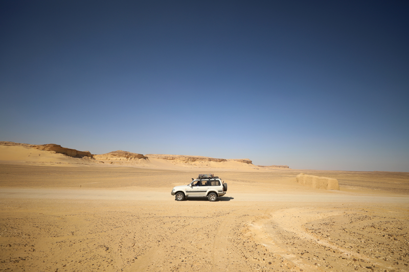 <p>Bakent Kahire'nin 130 kilometre gneyinde yer alan Balina Vadisi'nde bugne kadar 400'den fazla deniz canlsnn fosiline rastland. </p>