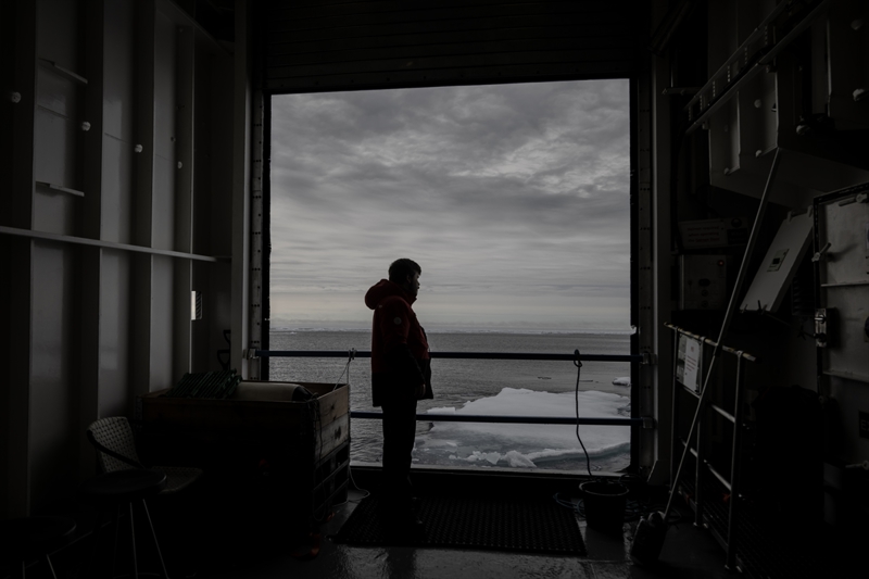 <p>'Normal artlar altnda enzimlerin ok iyi ilev grdkleri belirli iklim ve evre artlar vardr. Ancak ok souk olan kutup denizlerinde, balklar da bu koullara zel evrimsel adaptasyonlar geirmek zorundalar. nk balklar souk kanl organizmalardr, bu da i scaklklarnn d scakla bal olduu anlamna gelir. Dolaysyla baz enzimlerin bu ok souk sularda ilevlerini yerine getirebilmeleri iin deiime uramalar gerekmektedir.'</p>