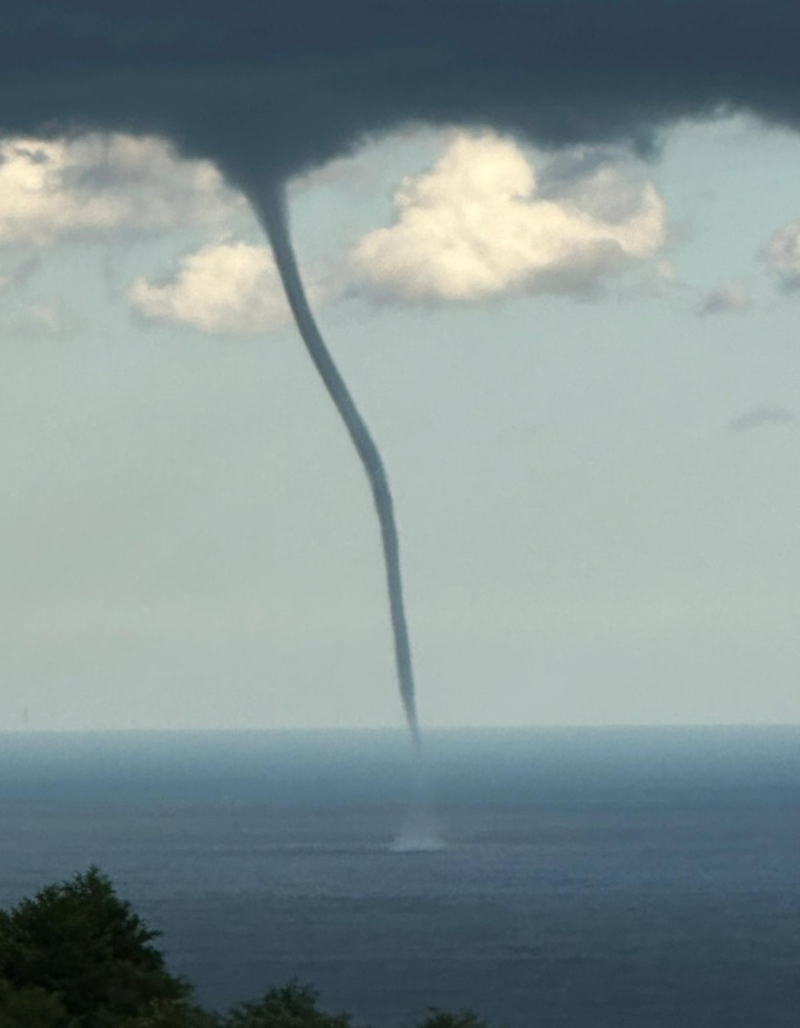 <p>Arhavi'de yaşayan Kerim Okumuş, cep telefonu kamerasıyla o anları kaydetti.<br></p>