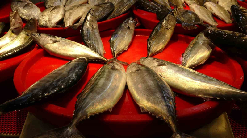 <p>Bal�k �e�itleri g�nden g�ne daha da iyiye gitti�ini kaydeden bal�k�� esnaflar�ndan Mehmet �rselo�lu ise 'Her ge�en g�n daha da iyiye gidiyor. G�zel hamsi, istavrit, mezgit, tirsi, barbun geliyor, g�nden g�ne daha da iyiye gidiyor. Hamsi Sinop taraflar�ndan geliyor. Bir hafta sonra in�allah bizim yerli hamsi ��kmaya ba�lar. Fiyatlar�m�z da normal. Yakla��k 10 y�l �nce sezon ba�lad���nda b�yle �e�itler ��kard� ancak son zamanlar pek bol �e�it olmuyordu' �eklinde konu�tu.</p>