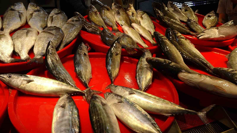 <p>Trabzon Bal�k Hali'nde bu sezon, ge�ti�imiz y�llara oranla en bol bal�k �e�itlili�i ya�an�rken sezon ba��ndan beri pek g�r�lmeyen palamutta tezg�hlardaki yerini alarak �e�it zenginli�ini art�rd�.</p>