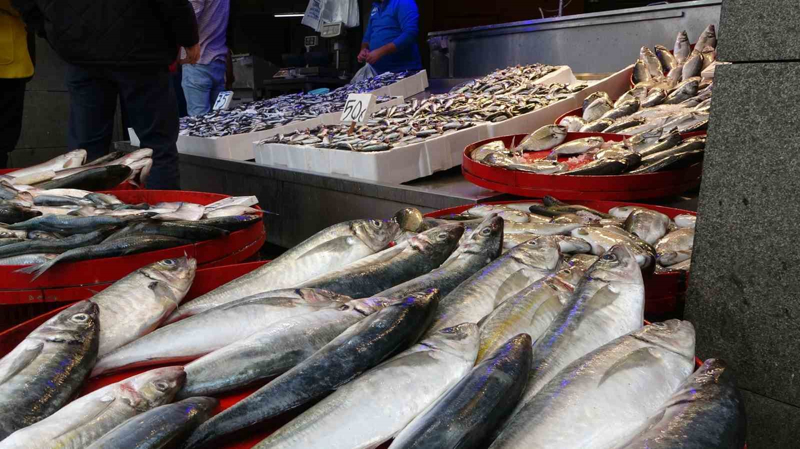 <p><b>B�RKA� G�ND�R PALAMUT GEL�YOR</b></p><p></p><p><span >Bal�k�� esnaflar�ndan �etin Kavzo�lu, palamudun son birka� g�nd�r k�y� bal�k��lar�n oltalar�na tak�ld���n� belirterek 'Palamut son bir ka� g�nd�r tane olarak geliyor �ok az miktarda asl�nda ge� kal�nm��. Palamudun bu sezon olup olmayaca�� belli de�il hava �artlar�na g�re ilerleyen g�nlerde belli olur. Palamutlar Trabzon a��klar�nda avland� k�y� bal�k��lar� getirdi. Tezg�h�m�zda l�fer, mavru�gil, levrek, torik, karag�z, barbun var. Hamsi ve istavrit hari� geri kalan �e�itler biraz pahal�. Yerli hamsimiz hen�z ��kmad� hamsiye talep var' diye konu�tu.</span><br></p>