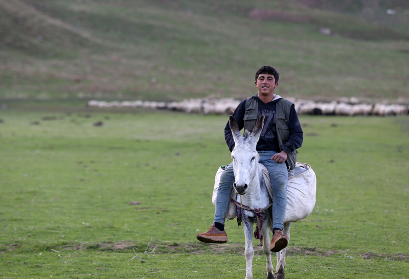 <p>G�neydo�u Anadolu B�lgesi'ndeki g��erler, may�stan itibaren s�r�leriyle yaylalarda konakl�yor. Belli bir s�re sonra tekrar s�cak b�lgelere yolculuklar� ba�l�yor. </p>