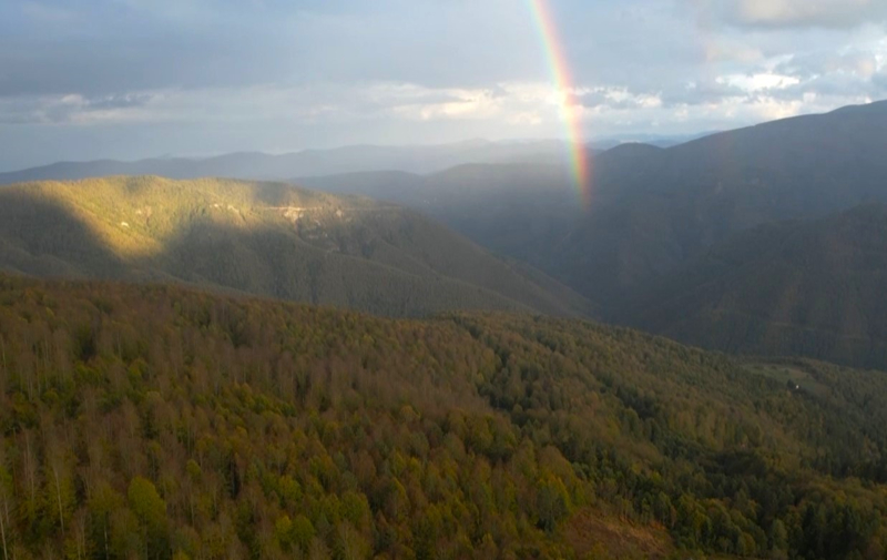 <p><b><font size='3'>Kastamonu ormanlarında sonbaharın renkleri hakim oluyor</font></b></p>