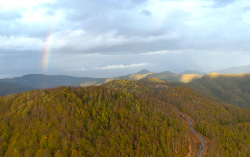 <p>Kastamonu'da ormanlar, sonbaharın renk şölenine ev sahipliği yapıyor. Sonbaharın renk tonlarının hüküm sürdüğü ormanlık alanlar dron ile görüntülendi.</p>
