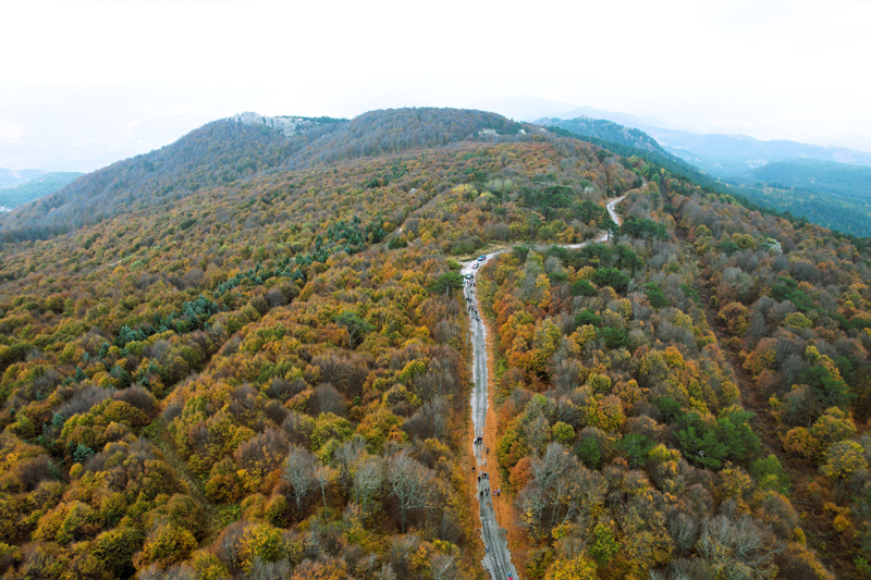 <p>Sonbaharın gelmesiyle Ulus Dağı'ndaki bitkilerin sarı, yeşil ve kızıl renklere bezenmiş yaprakları, ziyaretçilerine güzel manzaralar sunuyor.</p>