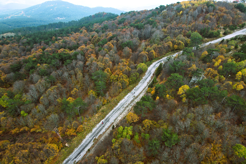 <p>Sonbaharın güzelliklerini izleyen doğa fotoğrafçıları, farklı tonlara bürünen delikavak, çınar, çam, meşe gibi ağaçların fotoğraflarını çekiyor.</p>