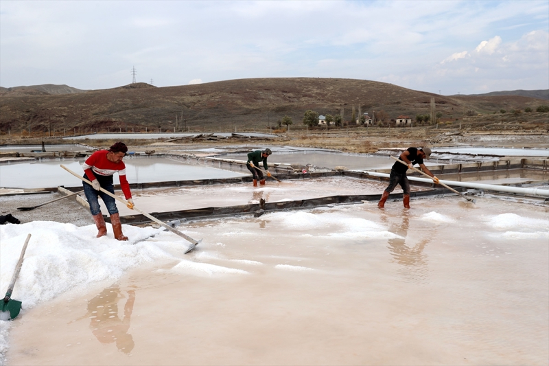 <p><b>Yılmaz, doğal yöntemlerle tuz ürettiklerini vurgulayarak, şunları kaydetti:</b></p><p>'Tuzumuz daha çok iç piyasaya gidiyor. Üretim kapasitesi az olduğu dönemlerde talepleri karşılamakta zorluk çekiyoruz. İtalya, Belçika, İsveç, Hollanda, Almanya, Rusya, Birleşik Arap Emirlikleri ve Sudan'a da gönderiyoruz. Ünlü şefler, tanınmış firmalar tuzu bizden alıyor. Üretimlerimiz doğal olduğu için su kapasitesi önemli. Havuz sayısını artırdığımızda yeterli suyu bulamayabiliriz.'</p>