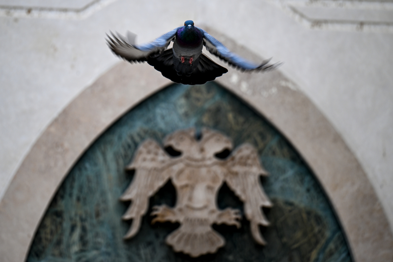 <p>Dünyada popülasyonu çok büyük olan bu güvercin türü, özellikle tarihi ve turistik konumlarda sürüler halinde hareket ederken görsel şölen oluşturuyor.<br></p>