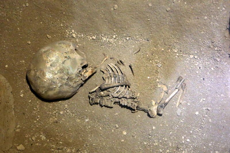 <p>Şehir merkezinin işlek bir bölgesinde bulunan, ilk bakışta yıkılmış eski bir binanın kalıntıları gibi görünen geniş bahçedeki bu yapıya küçük bir kapıdan giriliyor.</p>