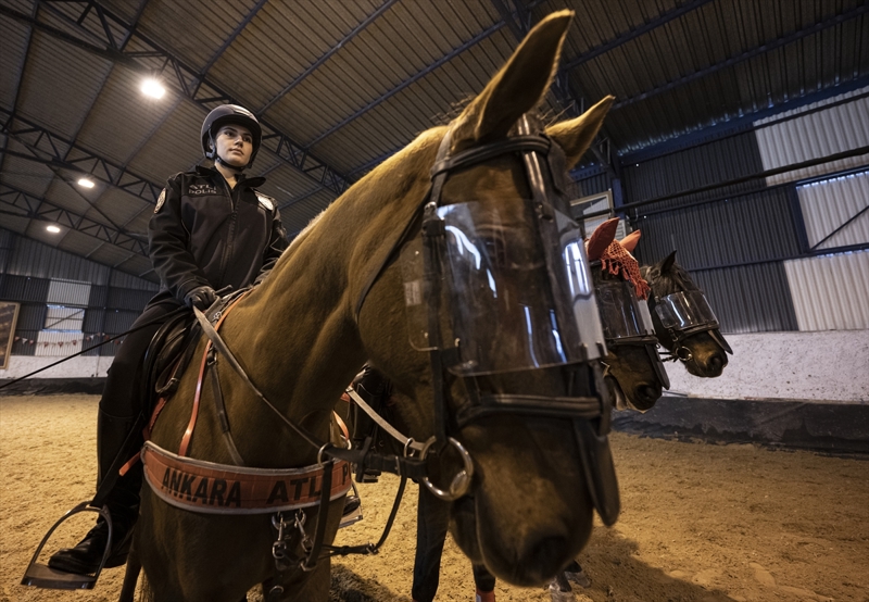 <p>Şehit Emniyet Müdürü Ali Gaffar Okkan Atlı Polis Eğitim Merkezi'nde eğitime başlayan biniciler ise 4 aylık temel binicilik eğitimi sonrasında ileri düzey binicilik eğitimi alıyor.</p>