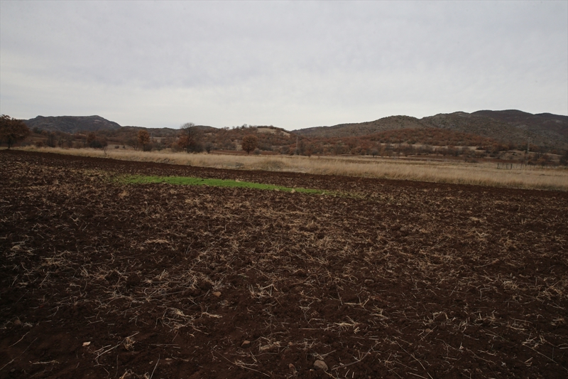 <p>Arazilerini tarıma kazandırmaya karar verdiğini belirten Güleç, '200-300 dönüm ile başlayalım derken ciddi bir rakama ulaştık. Kaymakam Bey'imiz de bize yardımcı olacak. Tarım işi ile uğraşmak aklımda yoktu. Birdenbire bu işe girdik.' dedi.</p>