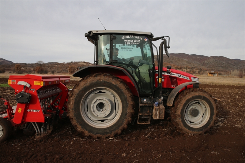 <p>Eşinin de kendisine yardımcı olduğunu aktaran Güleç, 'Oğlum ve gelinim de bana yardımcı oldular, bu konuda rahatım. Allah'ın izniyle başaracağız. Almus'umu ve köyümü seviyorum. 5 bin dönümlük alandan yaklaşık 3 bin ton ürün almak istiyoruz.' dedi.</p>