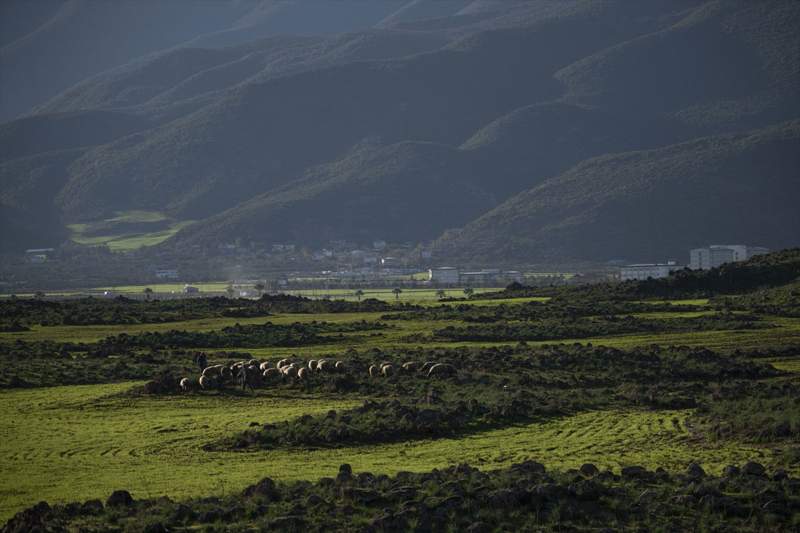 <p>'Depremde zarar gören bütün çiftçi kardeşlerimizin köy köy gezerek tespitini yaptık ve hepsini kayıt altına aldık. Şimdiye kadar ciddi anlamda bu zararları karşılamış olduk. Depremde traktörü, ekipmanı zarar gören çiftçimiz çok oldu. Bunun giderilmesi noktasında Sayın Valimizin ve Belediyemizin destekleriyle çalışmalar yaptık. Amacımız sadece üretim yapmaktır. Bu anlamda da üreticileri desteklemeye devam edeceğiz.'</p>