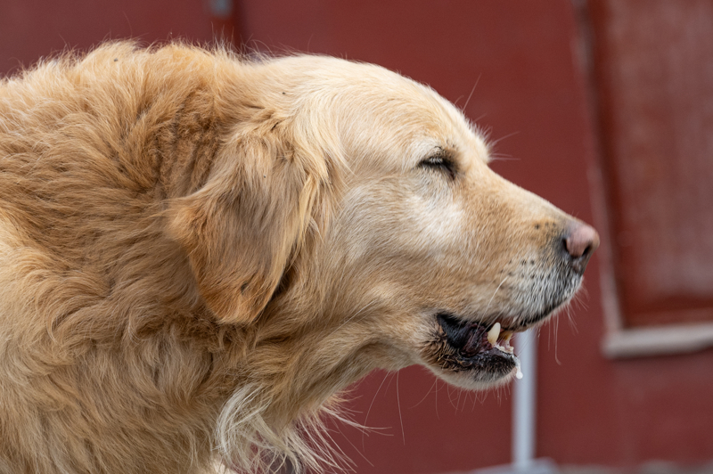 <p>Ykntlarda canl tespiti yapldktan sonra iin kurtarma ekiplerine devredildiini kaydeden Sait Akaln, 'Ben kardelerin kartlma anna ahit olmadm ama oradaki arkadalardan grntlerini ekmelerini istedim. Biz aramay yapyoruz, bir sonraki enkaza geiyoruz. Orada artk kurtarma ekipleri almaya balyor.' ifadelerini kulland.</p>