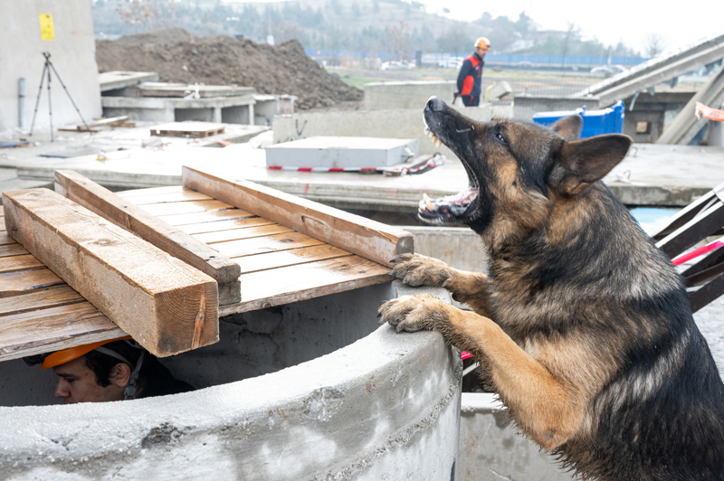 <p>Bir baka enkazda tespit ettikleri anne ve kznn sesini duyduklarnda da duygulu anlar yaadklarn anlatan Akaln, unlar syledi:</p>