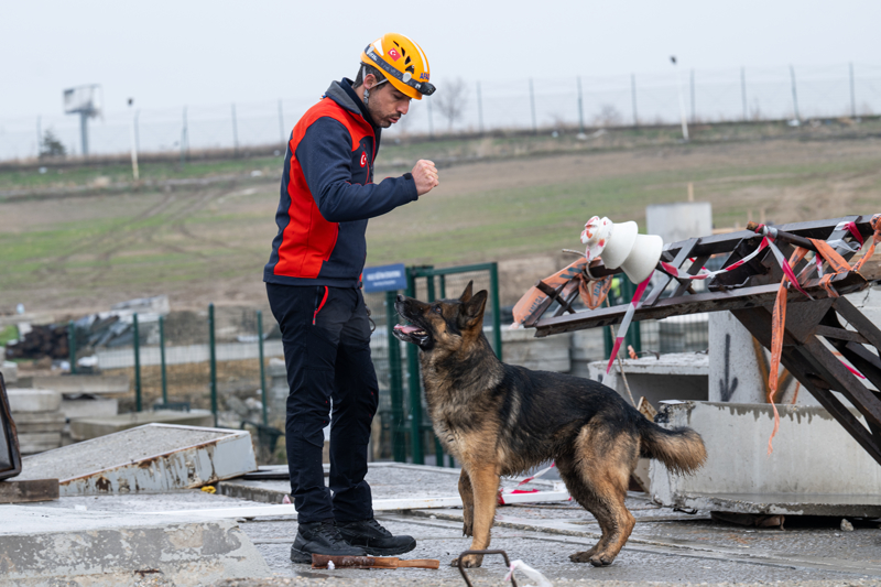 <p><b>ETM ALAN KPEKLERE ROL MODEL OLUYORLAR</b><br></p>