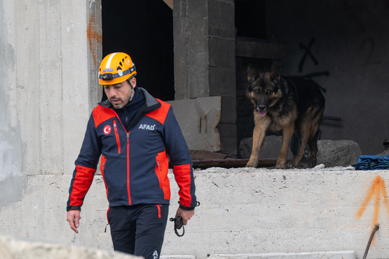 <p>Deprem blgesinde arama kurtarma kpeklerinin zaman zaman yaralandn ayaklarnda derin kesikler olutuunu ama buna ramen ykntlar arasnda canl aramaya devam ettiklerini syledi.</p>