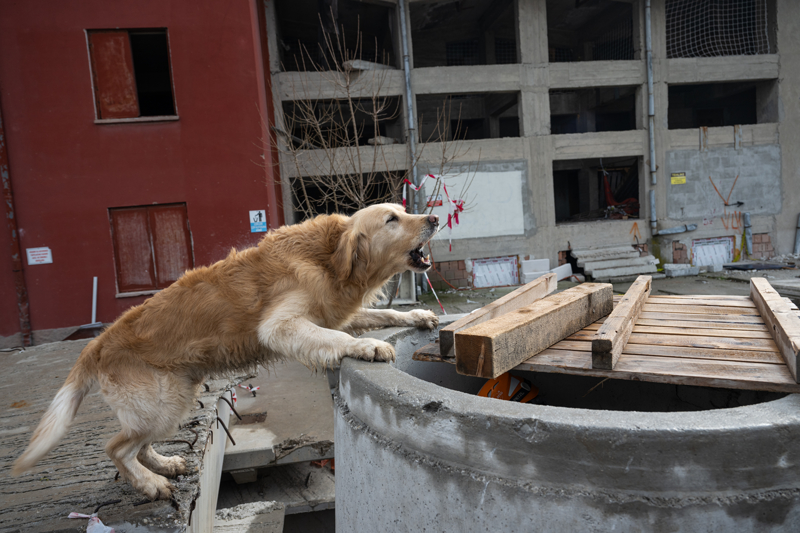 <p><b>'SESLERN DUYDUUMUZ AN OK GZEL BR DUYGUYDU'</b><br></p>