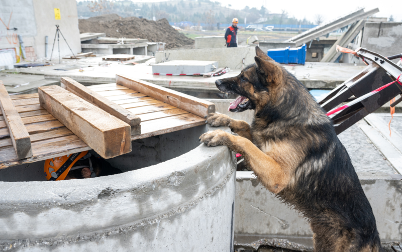 <p>'Kahramanmara depremi bizim iin ok byk bir olayd, lkemizde daha nce grlmemi byklkte depremdi. Enkazda anne ve kznn yerini tespit ettik, onlarn hikayeleri de ok etkilemiti. Kpeklerimiz ok zor koullarda ince boluklardan geerek bir enkazda bize sinyal verdi. Gidip bardmzda da anne ve kznn orada sesini almtk, onlarn sa olarak kartlmas ok gzel bir duyguydu. Verdiimiz btn emeklerin karln alyorsunuz. Emeklerin boa gitmediini, meslein kutsal olduunu tekrar anlyorsunuz ve bir cana ulamann mutluluu ok byk.'</p>