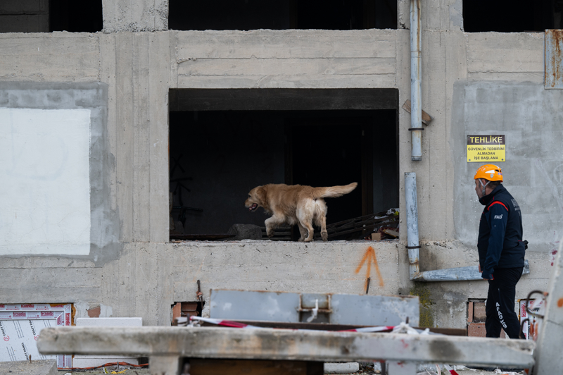 <p>Akaln, Paz ve Paa'nn parkurlardaki eviklik eitimleri ve havlama kutularndaki canl arama eitimlerinde yer aldn, eitim alan arama kurtarma kpeklerine rol model olduunu syledi.</p>