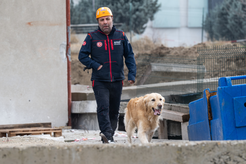 <p>Paa'nn eitmeni Blent Gll, AFAD bnyesinde lke geneli sertifikal 19 kpein bulunduunu, Ankara'da 2 kpein daha eitimlere baladklarn kaydetti.</p>
