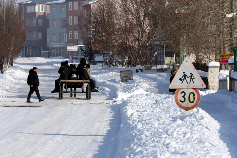 <p>Aç kalan bazı yaban hayvanları, yerleşim yerlerinin yakınlarında yiyecek aradı.</p>