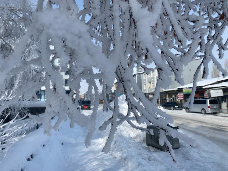 <p>Ardahan'da ise sabah i yerlerine yryerek gidenler, dondurucu souk nedeniyle zor anlar yaad.</p>