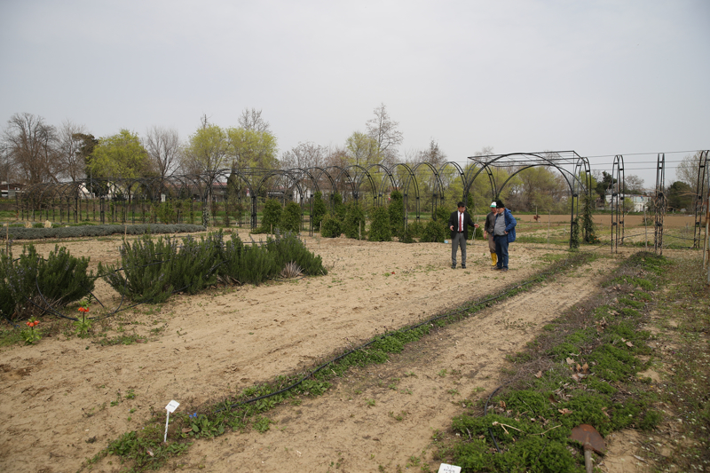 <p><b>- SELMYE'DEK TERS LALENN ANLAMLARI</b><br></p><p><br></p><p>Selimiye Camisi mezzin mahfilinin mermer ayanda ili ters lale figryle ilgili eitli rivayetler bulunuyor.</p><p>Bir rivayete gre, Selimiye'nin yaplaca meydanda lale bahesi bulunan yal kadnn araziyi vermek istememesi ve daha sonra ikna edilmesi zerine kadnn inadn simgelemek adna Mimar Sinan, camiye ters lale simgesini iliyor.</p><p>Baka bir rivayete gre de Mimar Sinan, stanbul'dan Selimiye'yi yapmak iin Edirne'ye geldiinde 8-9 yalarndaki ok sevdii torunu Fatma'ya hasret kalmamak iin onu da Edirne'ye getirir.</p>