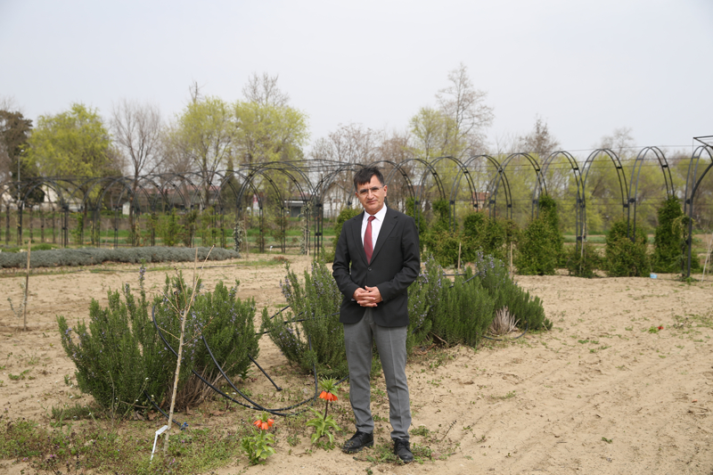 <p>Bir sre sonra hastalanan ve vefat eden Fatma'ya duyduu hasret nedeniyle onun iin yaptrd trbedeki mermer sandukaya boynu bkk bir lale koyuyor. Bu znty gren raklardan biri ustasnn zntsn Selimiye'deki mezzin mahfiline iledii ters lale motifiyle dile getirmeye alyor.</p>