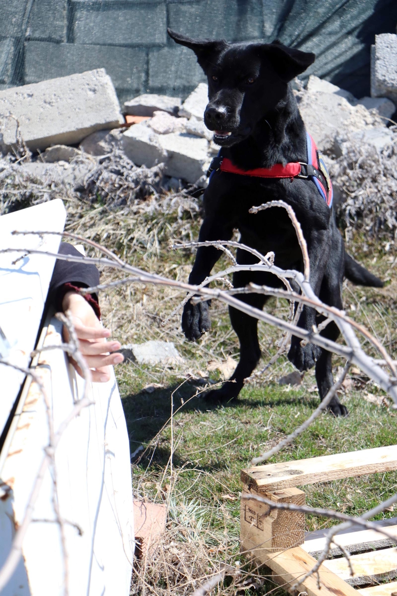 <p>'Alman �oban k�pe�i Re�el'i, kurtarma ve bomba aramada kullan�yoruz. Daha �ok adli ve �nleme aramalar�na y�nelik aramalar�m�z oluyor. Bina, ev, depo ara� ve deniz, hava, kara ta��tlar�nda aramalar�m�z oluyor. Devlet b�y�klerinin ziyaretlerinde makamlar�n aranmas�nda aramalar�m�z� yap�yoruz.</p>