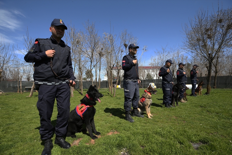 <p>Kpeklerin zorlu eitimlerden getiini ifade eden Santur, unlar kaydetti:</p>