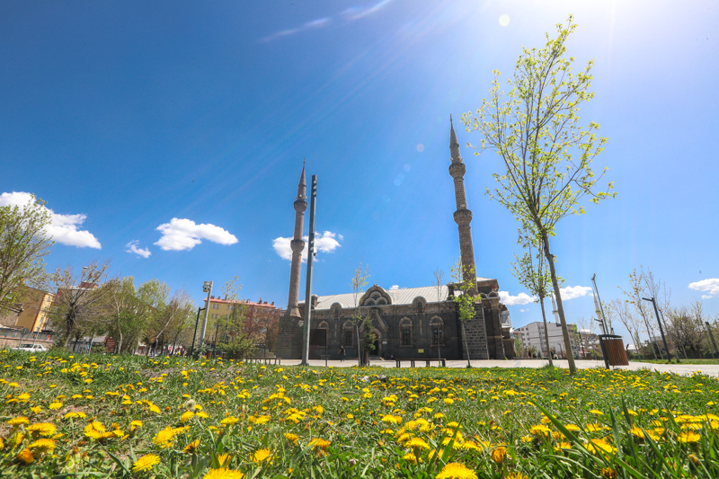 <p>Bölgeye gelen yerli ve yabancı turistler de çiçekler arasında tarihi yapıları çekerek anı ölümsüzleştiriyor.</p>