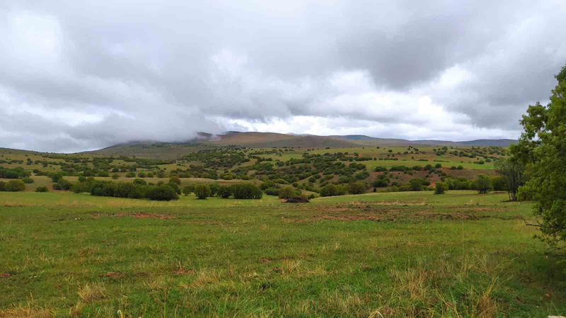 <p>Sivas'ın Gemerek ilçesine bağlı İnkışla köyüne mayıs ayında yağan kar şaşırttı. Gece boyunca etkili olan soğuk hava sonrası yaylaların yüksek kesimlerine kar yağdı. Yağan kar sonrası bazı tepeler beyaza büründü. Yer yer sıfır dereceye düşen hava sıcaklığı nedeniyle köylerde vatandaşlar soba ve kaloriferleri tekrar yakmaya başladı.</p>