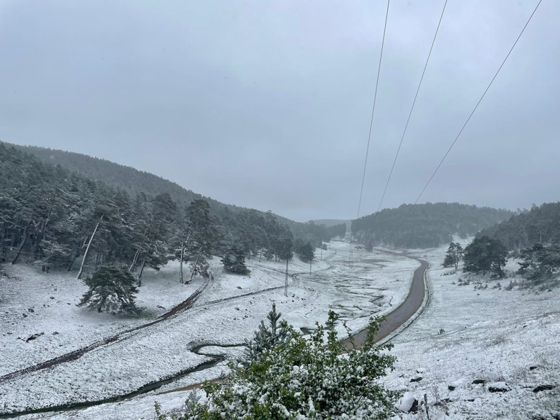 <p>Koyulhisar'da çam ormanlarıyla kaplı Eğriçimen Yaylası'nda kar yağışı etkisini gösterdi.</p>