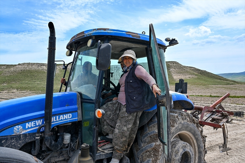 <p>Kooperatif Bakan Yardmcs 68 yandaki Fatma Uyar da 12 yandan bu yana iftilik yaptn belirterek, 'ocukluumdan bu yana domates ekeriz, apalarz, bunlara gzmz gibi bakarz. ocuklarmz gibidir, bytrz fideleri. Onlar da bize domates verir.' diye konutu.</p><p>Ata tohumlarnn mirass olduklarn vurgulayan Uyar, fide haline getirdikleri domates fidelerini topraa ektiklerini ve yeniden ocukluklarndaki sulu ve tamamen yerli rnleri yetitirmenin mutluluunu duyduklarn syledi.</p><p>Uyar, 'Bu fidelere yavrularmz gibi bakyoruz. Onlar bizim gzmzn ii.' diye konutu.</p>