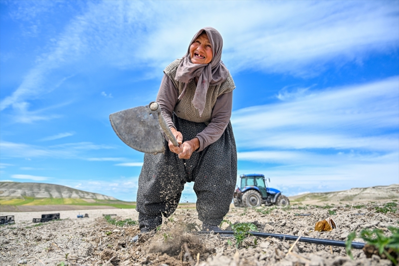 <p>Tm ortaklarn kydeki kadn iftilerden olutuunu ifade eden Varol, kooperatifin 2007'de kurulduunu ve 2015'ten bu yana da organik domateslerden sala ve menemen gibi rnler hazrladklarn anlatt.</p>