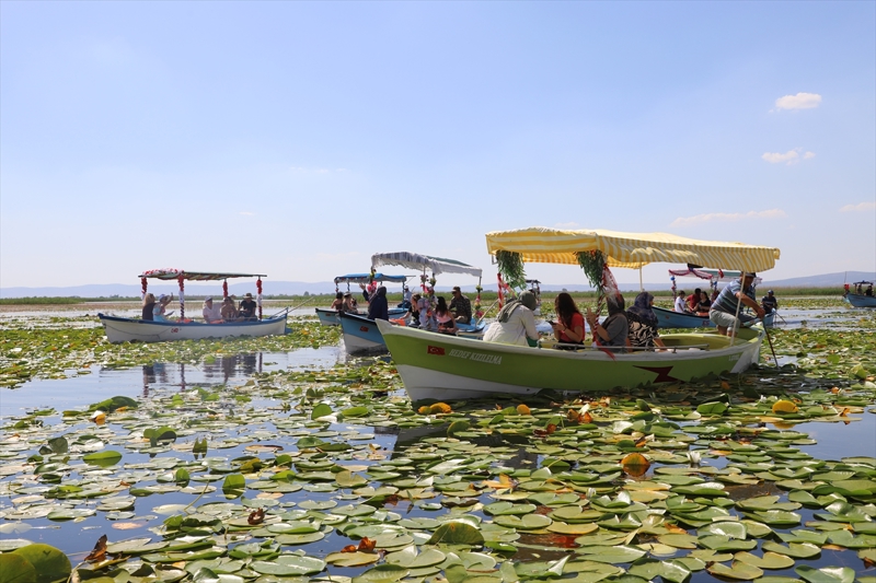 <p>Göle kıyı olan mahallelerden düzenlenen tekne turlarına katılanlar, sazlıkların arasından ulaşılan nilüferlerin arasında kuş sesleri eşliğinde yaklaşık 1 saat gezinti yapıyor.</p>