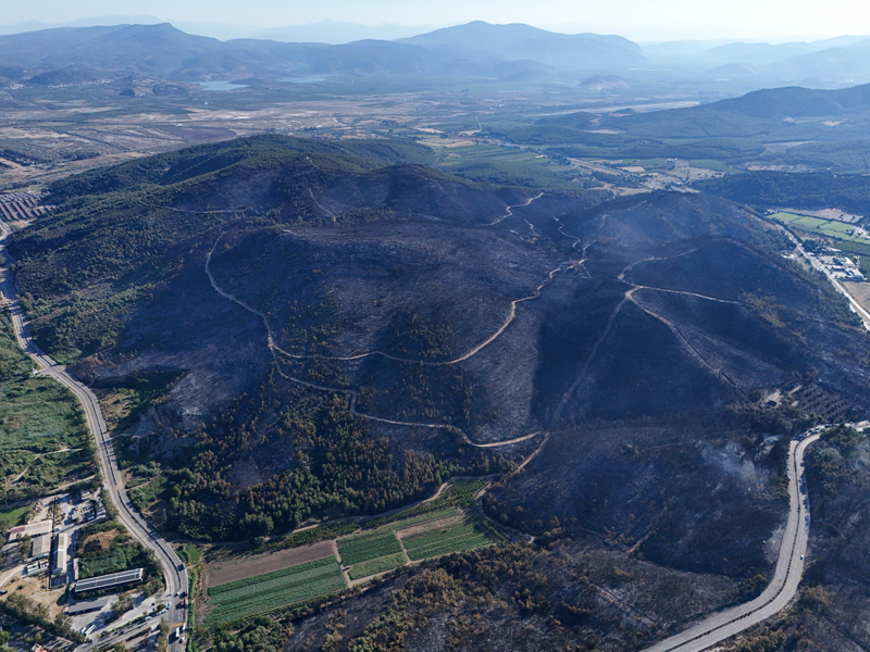 <p>Selçuk-Kuşadası kara yolu Pamucak mevkisindeki ormanlık alanda dün çıkan yangını kontrol altına almak için ekiplerin havadan ve karadan müdahaleleri sürüyor.</p>