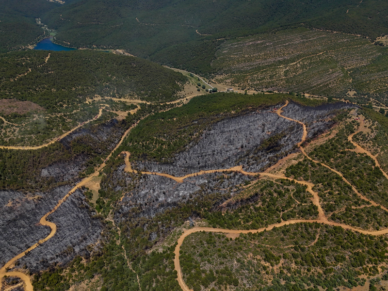 <p>Kızılhisar köyü yakınlarındaki bir buğday tarlasında 8 Temmuz'da biçerdöverle hasat yapıldığı sırada yangın çıkmış, rüzgarın da etkisiyle büyüyen yangın ormanlık alana sıçramıştı.</p>