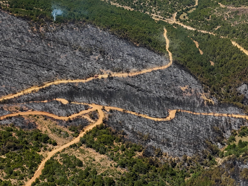 <p>Büyük bölümü kızılçam ormanı olan yanan alanlar, dronla görüntülendi.</p>