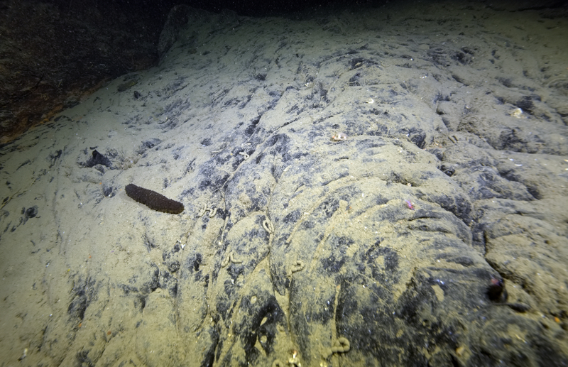 <p>Yaklaşık 47 metre derinlikte bulunan batık, yıllar içinde süngerler ve kırmızı yumuşak mercanlarla kaplanarak deniz canlıları için bir yaşam alanına dönüştü. </p>