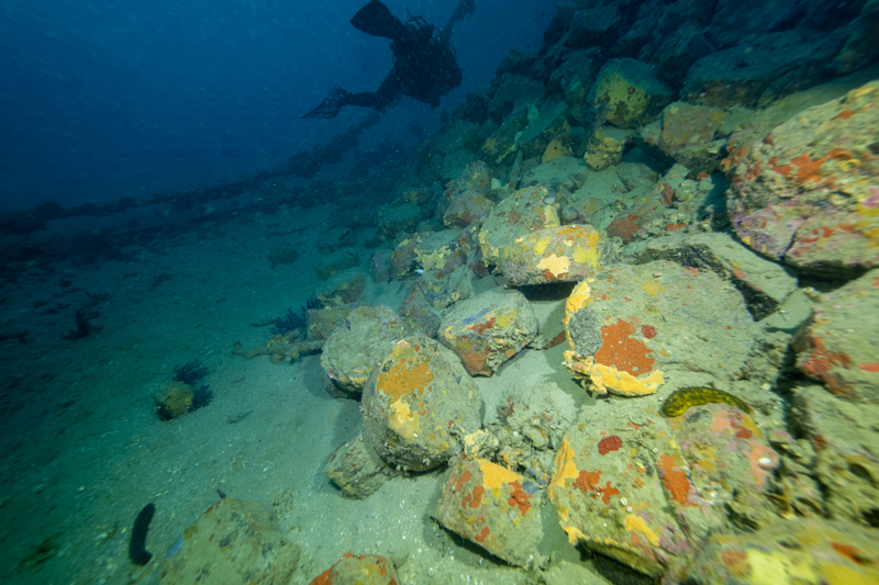<p> Asfalt yüküyle birlikte denizin dibine gömülen gemi, çevresel etkileriyle de araştırmacıların ilgisini çekiyor. Tarihi bir batık olmasa da Kaptan Frangos, Çanakkale Boğazı'nın su altı mirasına farklı bir boyut kazandırarak bölgedeki dalış turizmine katkı sunuyor.</p>