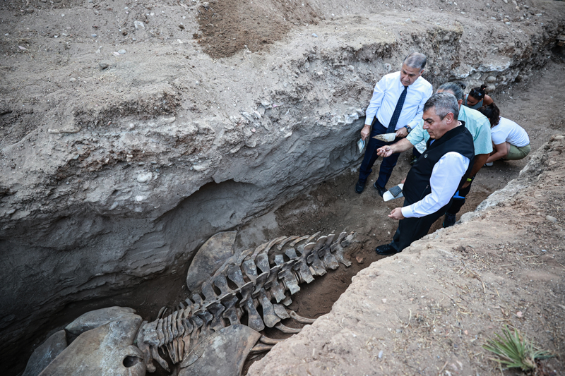 <p><b>- DENİZ CANLILARI MÜZESİ'NDE SERGİLENECEK</b></p><p><b><br></b></p><p>Vali Toros, gazetecilere, Mersin açısından önemli bilimsel bir faaliyet yürütüldüğünü söyledi.</p>