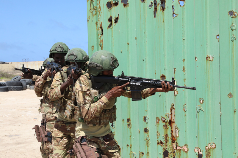 <p>TURKSOM bünyesinde Somali Milli Ordusu teşkilatının oluşturulmasında ve geliştirilmesinde destek sağlanırken STGK bünyesindeki danışmanlar, Cumhurbaşkanlığı, Savunma Bakanlığı, Genelkurmay Başkanlığı ile Kara, Deniz ve Hava Kuvvetleri seviyesinde yerinde danışmanlık faaliyetleri yürütüyor.</p>