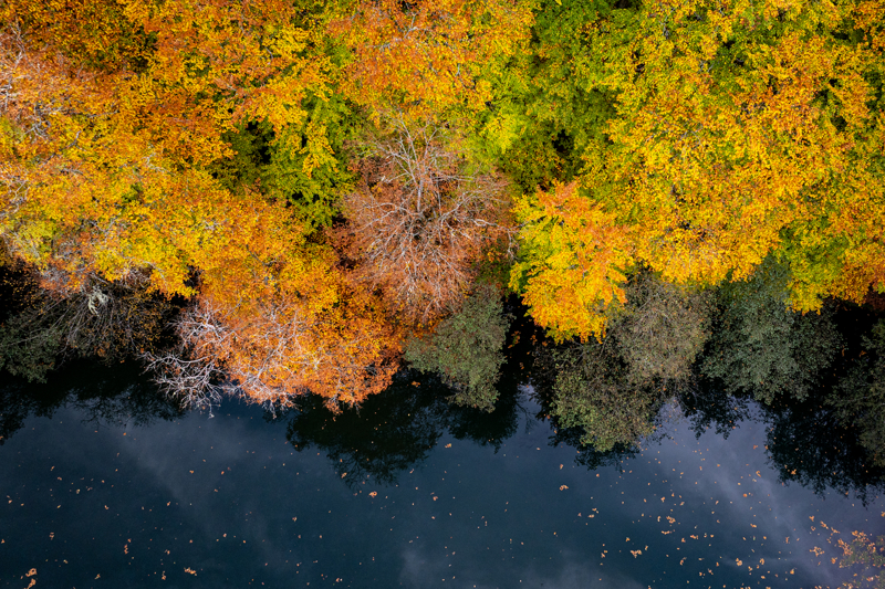 <p>Bolu kent merkezine 42 kilometre uzaklıkta bulunan ve 1965 yılında milli park ilan edilen bölge, orman denizi olarak da adlandırılıyor. Her mevsim ziyaretçilerin ilgisini çeken Yedigöller'in meşe, kayın, gürgen, kızılağaç gibi ağaç türlerinden oluşan ormanları, sonbaharda kahverengi, sarı ve yeşilin farklı tonlarıyla göllerin çevresini ve dağları süslüyor. Yedigöller Milli Parkı, havadan görüntülendi.</p>