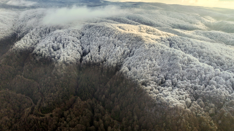 <p>��te o kartpostall�k manzaralar: </p>