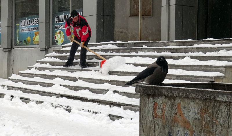 <p>Kars-Sar�kam��</p>